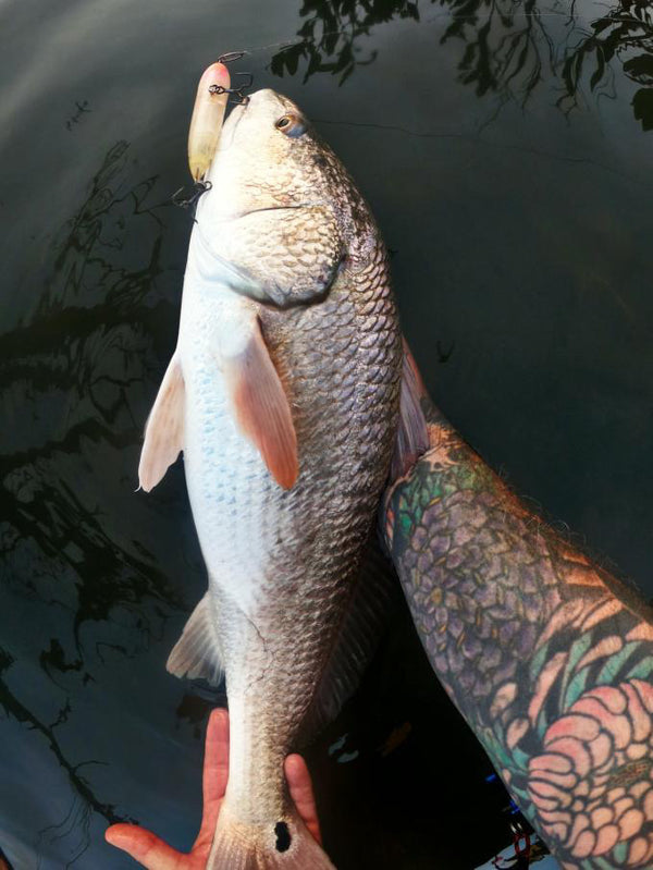 Inshore Speed Clip Bundle