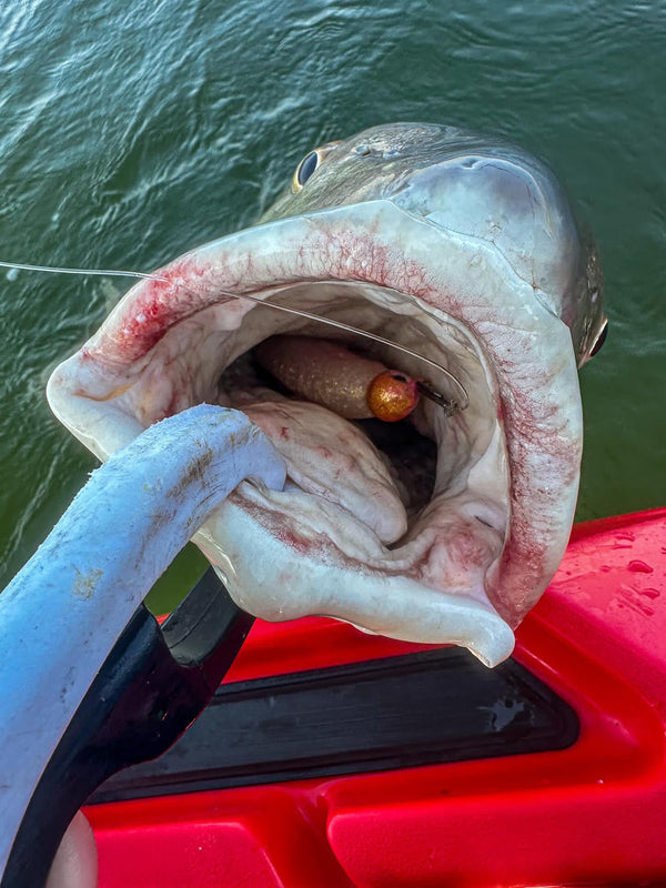 Large Speed Clips (120lbs)