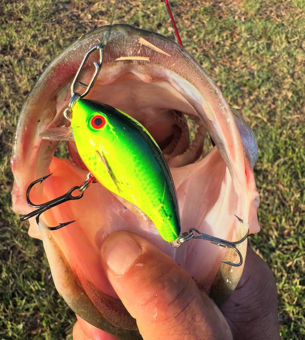 Bass Speed Clip Bundle