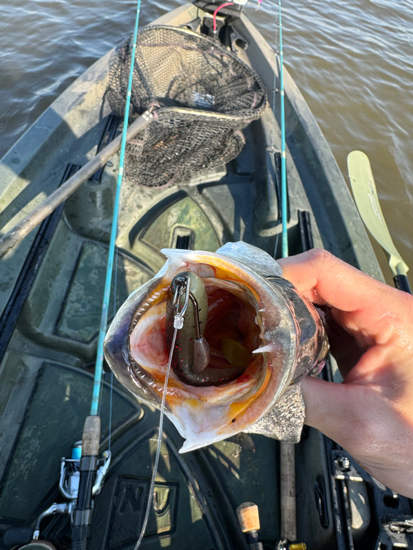 Inshore Speed Clip Bundle