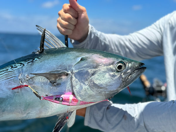 Offshore Speed Clip Bundle