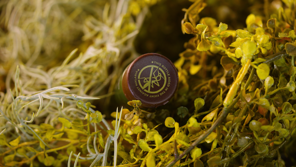 HUNT - Scent-Free, DEET-Free Insect Repellent Lotion