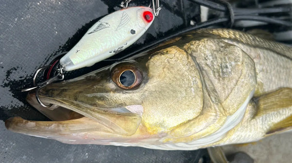 Custom MirrOlure 27MR UV Glow- "The Search"