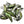 Small Batch Topwater Drop: Black Crappie