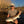 Lagniappe Series Rods
