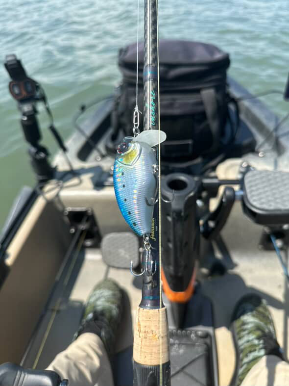 Bass Speed Clip Bundle