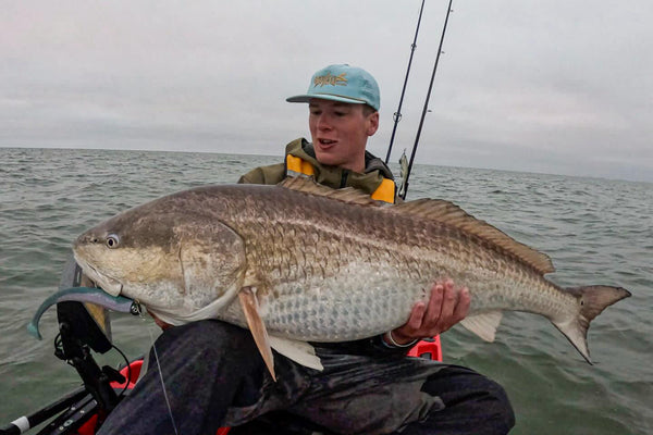 Large Speed Clips (120lbs)