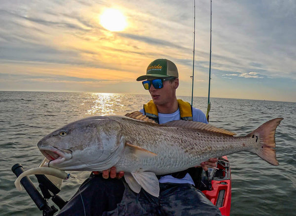 Large Speed Clips (120lbs)