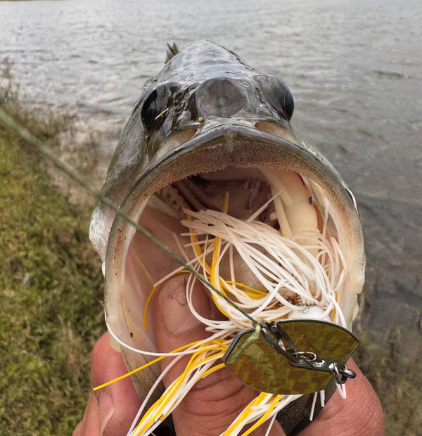 Bass Speed Clip Bundle