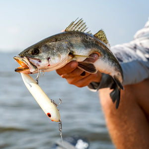 best topwater spinning combos Topwater Fishing Lure Combo Pack – Topwater Co