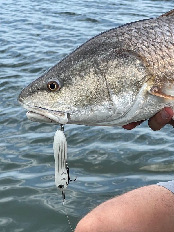 Inshore Speed Clip Bundle