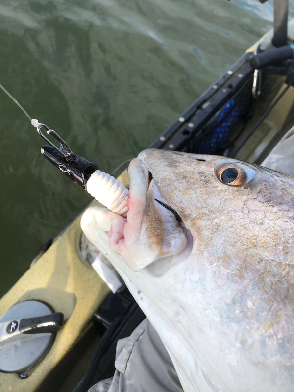 Medium Speed Clips (70lbs)