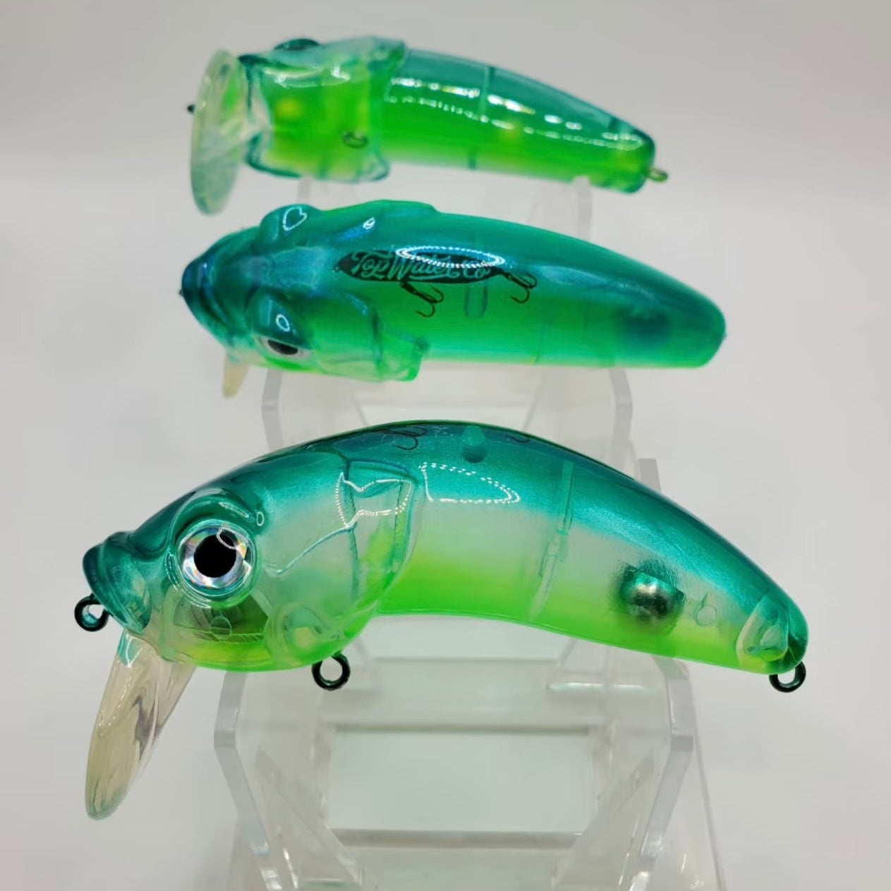Topwater Co Limited Drop 007: Money Tree