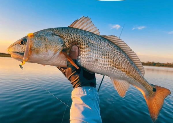 Inshore Speed Clip Bundle