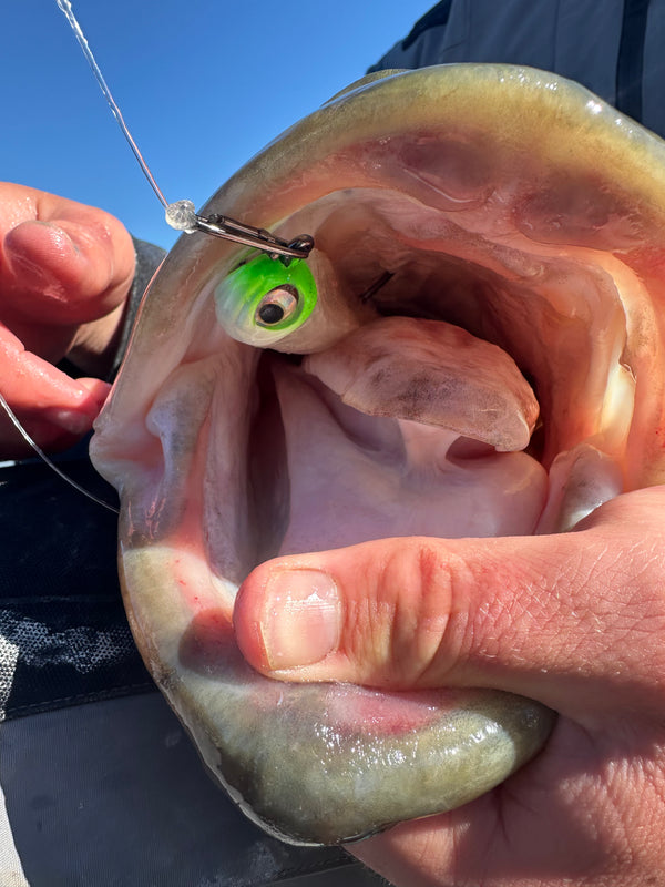 Offshore Speed Clip Bundle