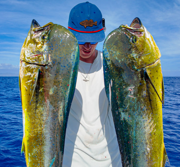 Offshore Speed Clip Bundle