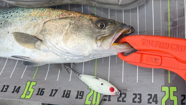 Custom MirrOlure 27MR UV Glow- "The Search"